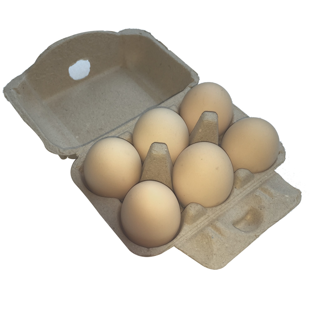 供应纸浆鸡蛋托，6枚黄浆鸡蛋托，纸浆蛋托，6枚装蛋盒，鸡蛋包装