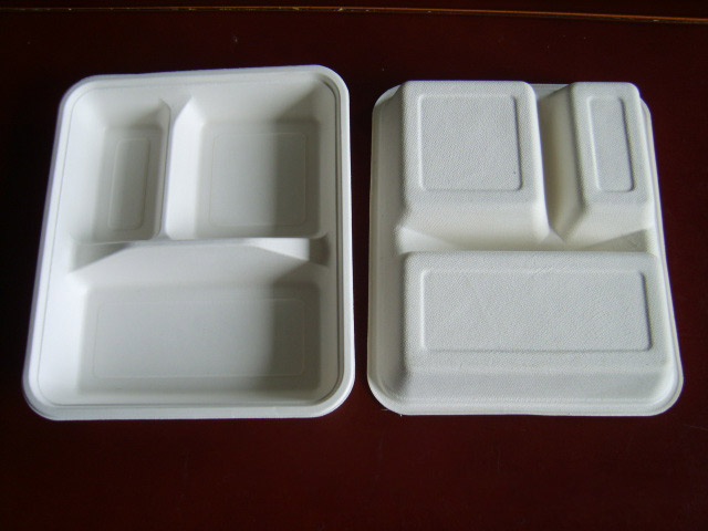 Packaging Paper tray